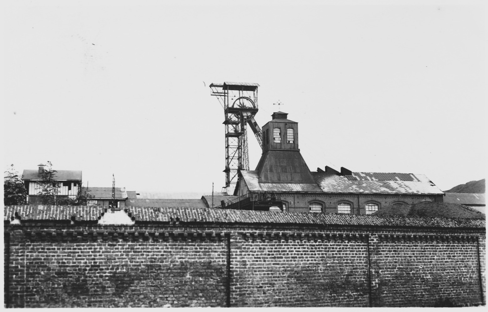 histoire de noeux